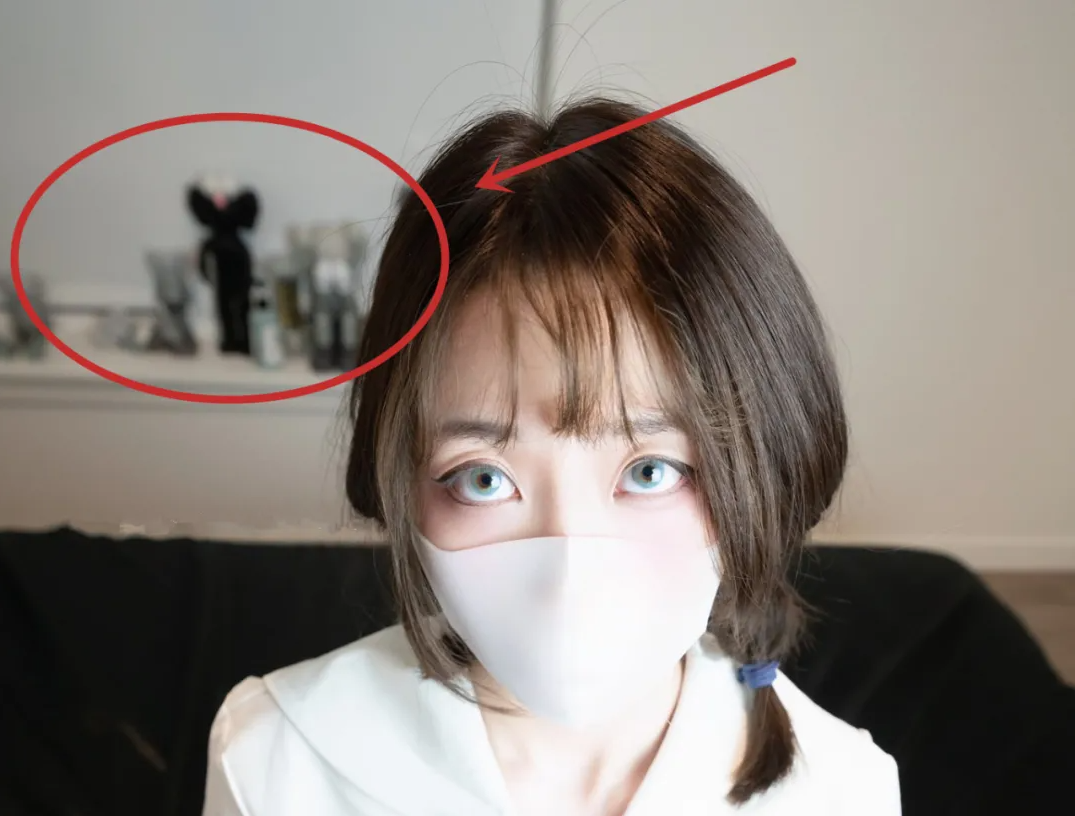 血族禁域动漫免费全集